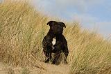 STAFFIE 294